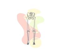 Cráneo dientes huesos del pie útero pulmón anatomía medicina carteles e impresiones cuadro sobre lienzo for pared cuadros de decoración la habitación médico(D,30X40 cm Unframed)