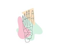 Cráneo dientes huesos del pie útero pulmón anatomía medicina carteles e impresiones cuadro sobre lienzo for pared cuadros de decoración la habitación médico(I,13X18 cm Unframed)