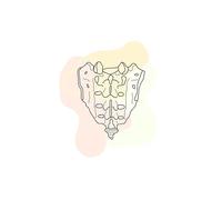 Cráneo dientes huesos del pie útero pulmón anatomía medicina carteles e impresiones cuadro sobre lienzo for pared cuadros de decoración la habitación médico(F,30X40 cm Unframed)