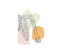 Cráneo dientes huesos del pie útero pulmón anatomía medicina carteles e impresiones cuadro sobre lienzo for pared cuadros de decoración la habitación médico(K,13X18 cm Unframed)