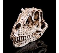 Cráneo en el modelo animal Cráneo del dinosaurio Material de cabeza de la resina Estatuilla Modelo - Colección a la barra del ornamento de la decoración del arte del cuadro 20 * 11 * 8cm