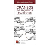 Cráneos de pequeños mamíferos