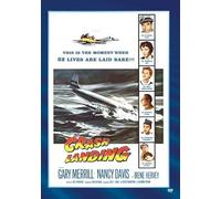 Crash Landing [USA] [DVD]
