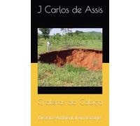 Crateras da Cobiça: Disastre Ambiental em Vazante