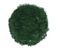 Crayones De Cera 12 Piezas En Caja - Verde Hoja