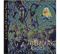 Crazy Gods Of Endless Noise - Inflatable Geek