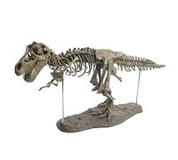 CRDARAAV Dinosaurio esqueleto modelo dinosaurio fósiles montaje coleccionista juguetes adorno