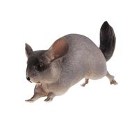 CRDARAAV Figura de animal, modelo de fiesta, decoración del hogar, artesanía, juguete pintado a mano, figura de chinchilla