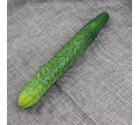 Crea un ambiente único con pepinos y berenjenas artificiales realistas en tu establecimiento (pepino)