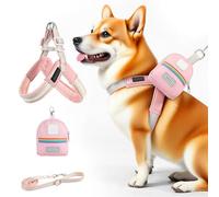 Creación De Perros Y Juego De Correas, Arnés De Perros De Pequeño Tamaño Ajustable, Adaptación Ergonómica, Herramienta De Seguridad Con Para Entrenamiento, Caminata Urbana, Parque, Patio, Es