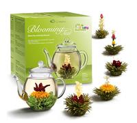 Creano Flores de Té Verde 6 uds con Tetera de Vidrio 500ml Antigoteo - 6 Variedades de Té Verde Aromatizado - Regalo para Mujer