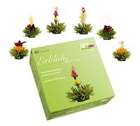 Creano Flores de Té Verde Cofre de Degustación 6 uds - Mezcla de Té Verde Frutal Aromatizado - Regalo Elegante para Mujeres