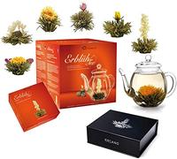 Creano Set Flores de Té Blanco 12 uds y Tetera 500ml Antigoteo - Incluye Cofre Magnético - 6 Variedades Mix - Regalo Gourmet para Mujer y Mamá
