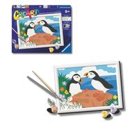 CreArt Serie D - I fedelissimi pulcinella di Mare