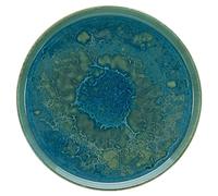 Creatable, 21508 Serie Yuki - Platos llanos (4 piezas)