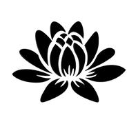 CREATCABIN 3D Espejo Acrílico Flor de Loto Etiqueta de la Pared Calcomanías de Arte de Pared Autoadhesivas Extraíbles Ecológicas Hogar Dormitorio Sala de Estar Decoración de Baño 13.7 x 9.8 Pulgadas