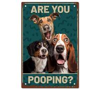 CREATCABIN 3Dogs Tin Sign Toilet Vintage Metal Sign Are You Pooping Kind Reminder Poster Retro Pintura Placa Letrero de Hierro Decoración de Pared Arte Mural Colgante para Baño Baño Hogar 30x20 cm