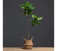 Create Your Home Planta Artificial Grande, Rama de árbol de Magnolia, Ficus decoración hogar y jardín, decoración casa y Oficina, 105 cm Tronco más una Rama. NO Incluye Maceta.