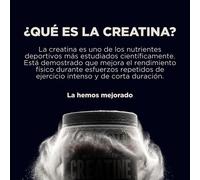 Creatina en polvo micronizada - 250g - 73raciones - Sin Sabor