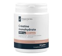 Creatina Monohidrato 200 Mesh - 540 Cápsulas - 3000 mg por Día - Pureza ≥ 99,5% - 2640 mg de Creatina Pura al Día - 3 Meses de Tratamiento - Fabricado en Francia - Envasado en Lyon