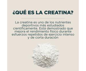 Creatina Monohidrato en polvo - 500g - 147raciones - Sin Sabor
