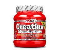 Creatine Monohydrate Micronized - Amix (600 g, Neutro) + Mezclador Cerrefit