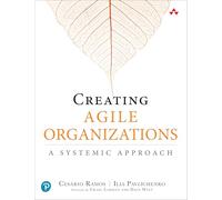 Creating Agile Organizations: A Systemic Approach