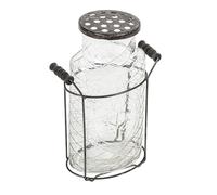 Creative Co-Op Glass Vase in Stand with Frog Lid Jarrón de Cristal en Soporte Tapa de Rana de Metal, L
