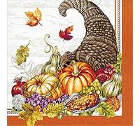 Creative Converting Servilletas Cornucopia de Acción de Gracias, 16,5 x 16,5 cm, burdeos, naranja, verde y marfil