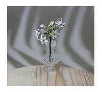 Creative for Mini Glass Vase for Plant Hydroponics & Terrarium Art, DIY Aromatherapy Essential Oil Bottle, Tischop Decor and Glass Crafts(C)