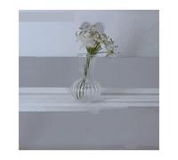 Creative for Mini Glass Vase for Plant Hydroponics & Terrarium Art, DIY Aromatherapy Essential Oil Bottle, Tischop Decor and Glass Crafts(A)