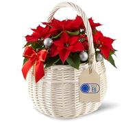 Creative Home Cesta de Mimbre Navidad Pequeña con Asa Blanca | 22 x 22 x 26 cm (+/- 2cm) | Regalo Picnic Plantas Almacenaje Decoración | Tejida a Mano | Marrón Natural | Multiuso, Práctica y Duradera