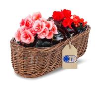 Creative Home Maceta de Mimbre Oscura con Lámina | 35 x 11 x 11 cm (+/- 2 cm) | Cubierta para Maceta Decorativa Tejida a Mano Ovalada para Balcón | Macetero Cesta Natural para Flores Plantas