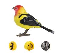 Creativity Fun Simulated Bird Voice Little Bird Electric Sensing Toy para niños V7n4 cantando Chirping Electronic And B