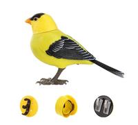 Creativity Fun Simulated Bird Voice Little Bird - Juguete de detección eléctrica para niños que cantan y canto electrónico M3E6 B