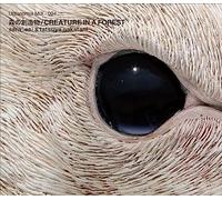 CREATURE IN A FOREST