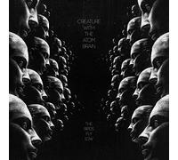 Creature With the Atom Brain - Birds Fly Low