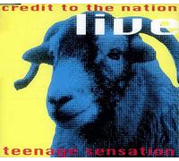 Credit To The Nation - Teenage Sensation
