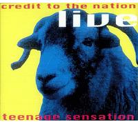 Credit To The Nation - Teenage sensation [Single-CD]