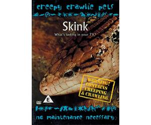 Creepy Crawlie Pets - Blue Tongued Skink [DVD] [Reino Unido]