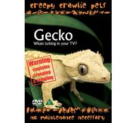Creepy Crawlie Pets - Wonder Gecko [DVD] [Reino Unido]