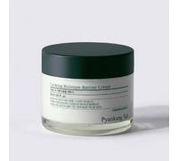 Crema Calmante Moisture Barrier 50ml Pyunkang Yul