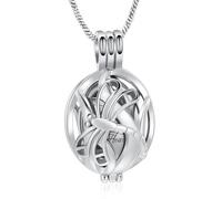 Cremación joyería libélula urna medallón colgante ceniza Keepsake urna collar para mujeres hombres con pequeño tarro de almacenamiento urna joyería