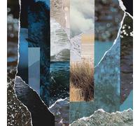 Cremation Lily - Dreams Drenched in Static [Vinilo]