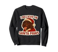 Creo en la Navidad del Perro American Water Spaniel de Santa Paws Sudadera