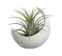 Crescent Shape Planter, Hanging Wall Pot, 8.5 Inches Garden Pot with Drain Feature, Decorative Indoor Outdoor Plant Holder, Balcony Planter with Style Flower Pots for Small Spaces