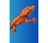 Crested Gecko Journal - Illustration Fired Up Cover: Part of the Lizard Collection - Themed for Kids, Teens & Adults - with Lined Pages