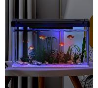 Crevyteg Kit de iniciación de pecera de acuario, pecera de 19 litros con filtro y luz, acuario rectangular con filtro y suministro de oxígeno, decoración de mesa para el hogar, oficina, sala de estar