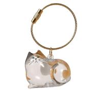 CRGANGZY Capsule de cabello de gato Capsule Botella de almacenamiento de piñera para regalos Memorial Regalos de recolección de cabello de gato Diy para pérdidas de mascotas Recuerdo de cabello para p