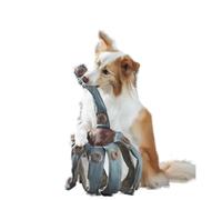 CRGANGZY Frank el Dogtopus, Juguete Cerebral dispensador de premios con barreras, Picos, trampas en Espiral y obstáculos, Resistente al Desgaste, para Perros de tamaño pequeño, Mediano y Grande